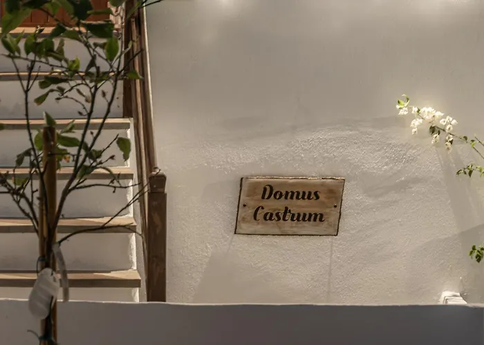 Domus Castrum